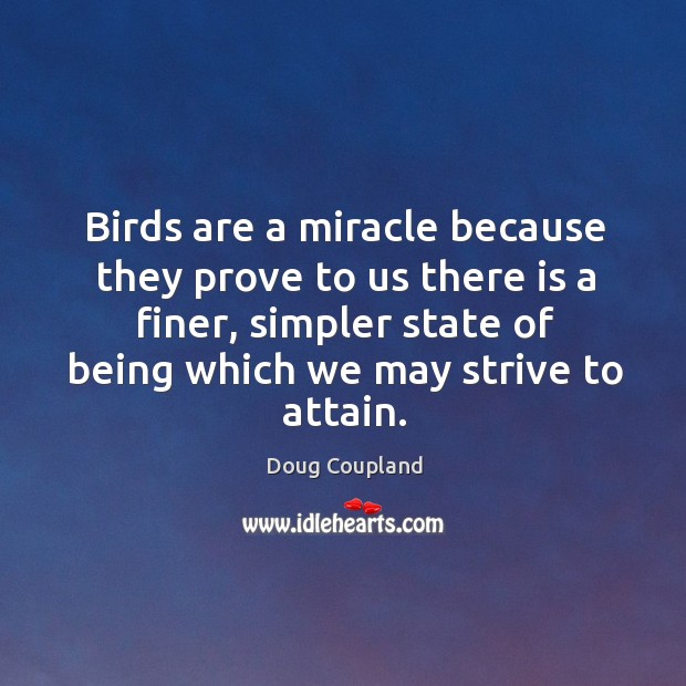 Birds are a miracle because they prove to us there is a finer, simpler state of being which we may strive to attain. Doug Coupland Picture Quote