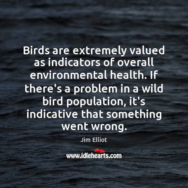 Birds are extremely valued as indicators of overall environmental health. If there’s Jim Elliot Picture Quote