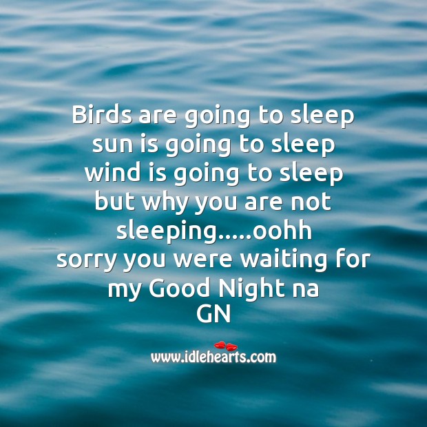 Birds are going to sleep Good Night Quotes Image