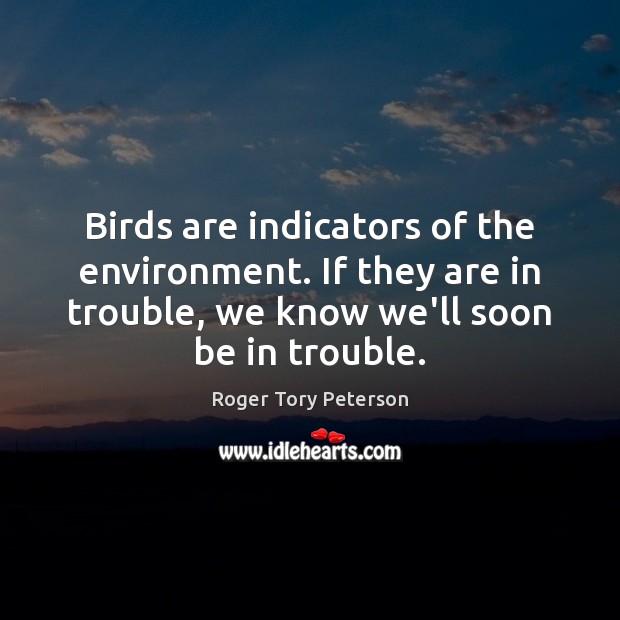 Birds are indicators of the environment. If they are in trouble, we Roger Tory Peterson Picture Quote