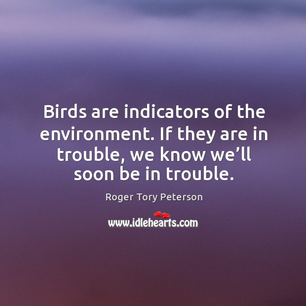 Birds are indicators of the environment. If they are in trouble, we know we’ll soon be in trouble. Roger Tory Peterson Picture Quote