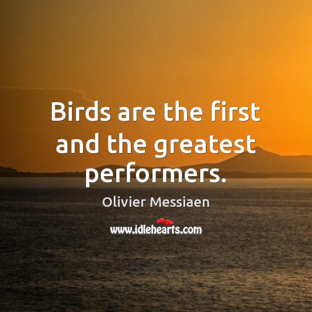 Birds are the first and the greatest performers. Image