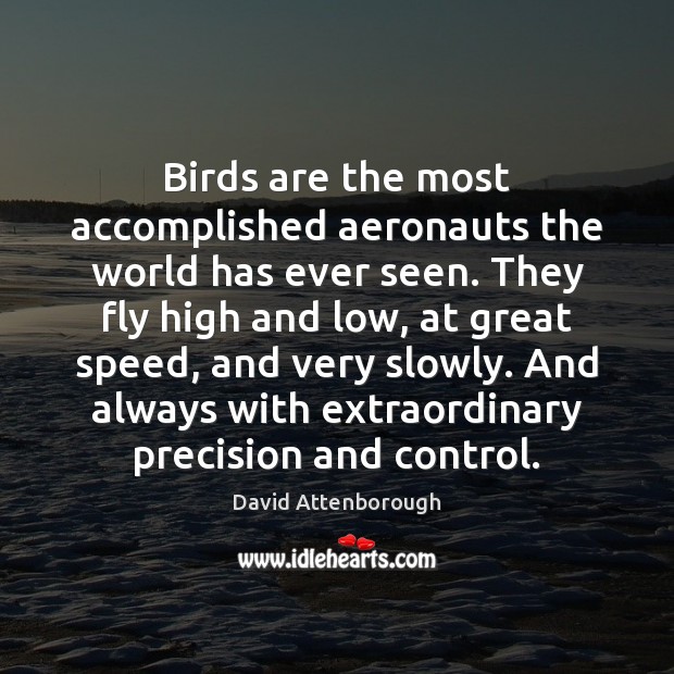 Birds are the most accomplished aeronauts the world has ever seen. They David Attenborough Picture Quote