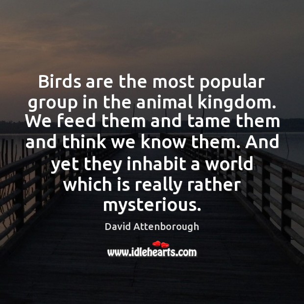 Birds are the most popular group in the animal kingdom. We feed Image