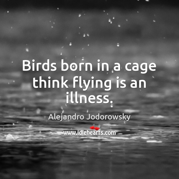 Birds born in a cage think flying is an illness. Alejandro Jodorowsky Picture Quote
