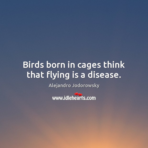 Birds born in cages think that flying is a disease. 