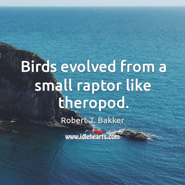 Birds evolved from a small raptor like theropod. Robert T. Bakker Picture Quote