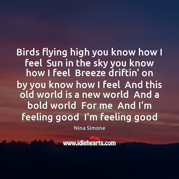 Birds flying high you know how I feel  Sun in the sky Nina Simone Picture Quote