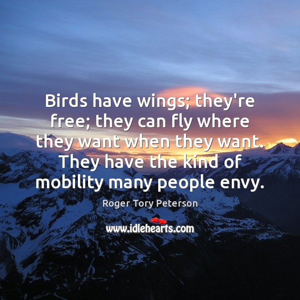 Birds have wings; they’re free; they can fly where they want when Roger Tory Peterson Picture Quote