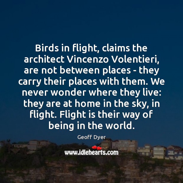 Birds in flight, claims the architect Vincenzo Volentieri, are not between places Geoff Dyer Picture Quote