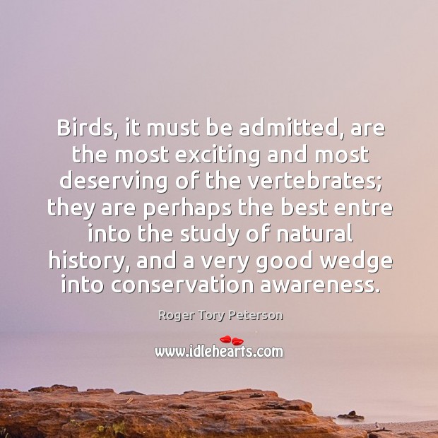 Birds, it must be admitted, are the most exciting and most deserving Roger Tory Peterson Picture Quote