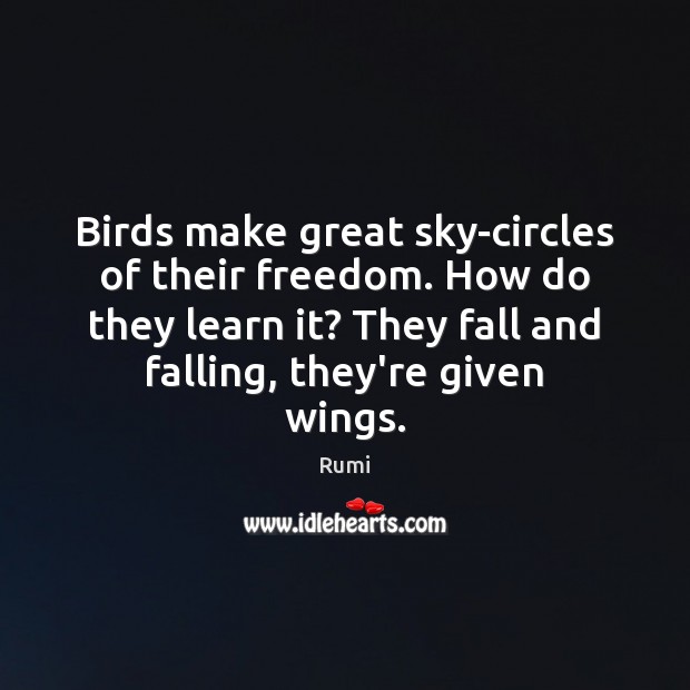 Birds make great sky-circles of their freedom. How do they learn it? Image