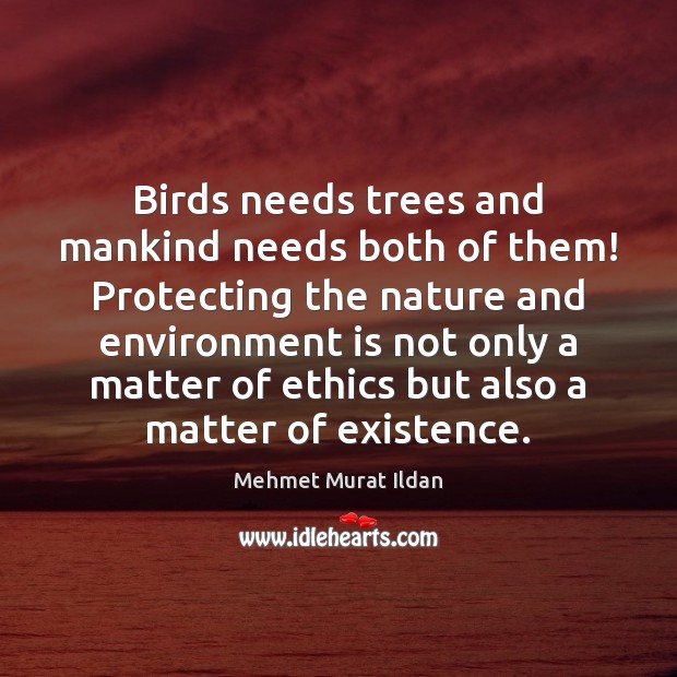 Birds needs trees and mankind needs both of them! Protecting the nature Image