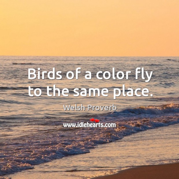 Birds of a color fly to the same place. Welsh Proverbs Image