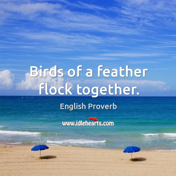 Birds of a feather flock together. English Proverbs Image