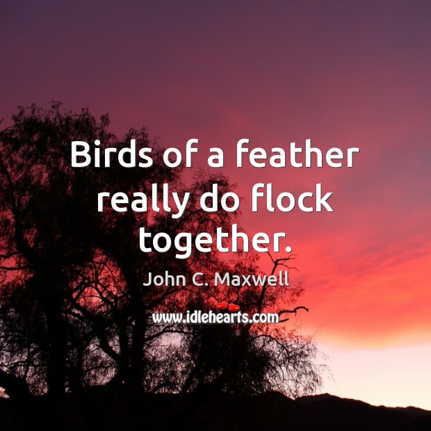 Birds of a feather really do flock together. John C. Maxwell Picture Quote