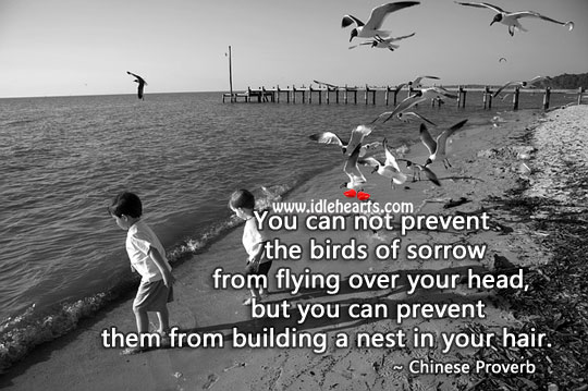 You can not prevent the birds of sorrow from flying over. Image
