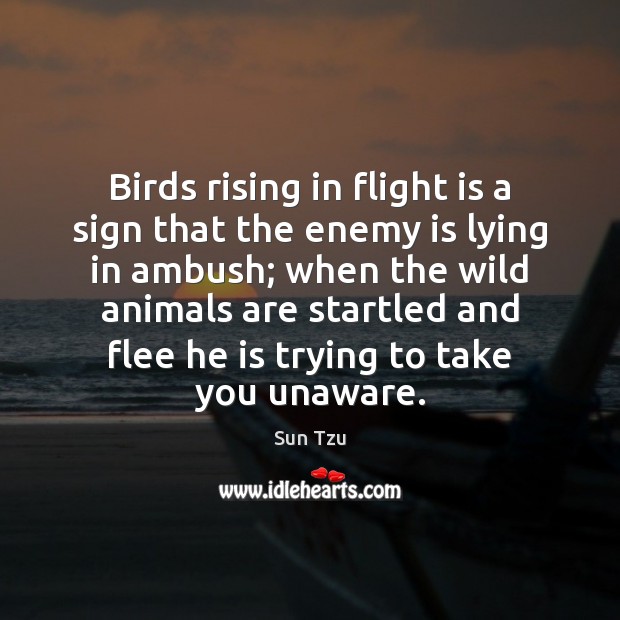 Birds rising in flight is a sign that the enemy is lying 