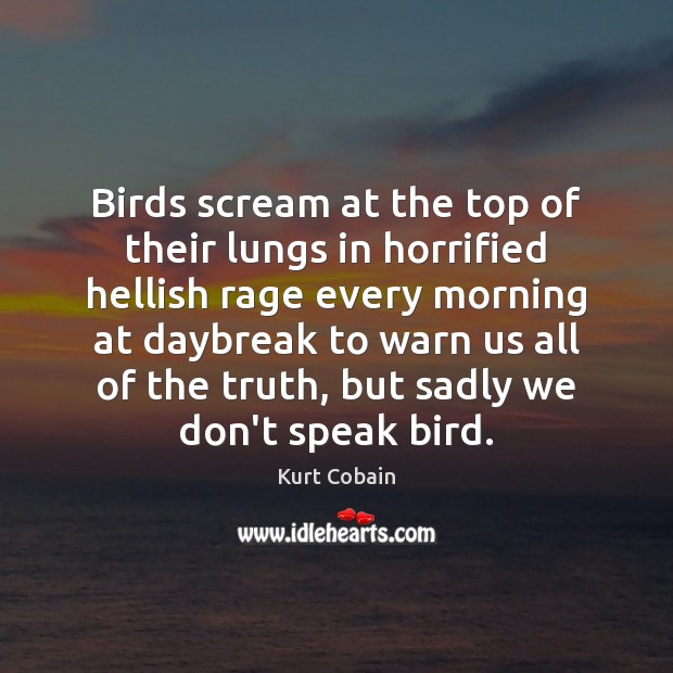 Birds scream at the top of their lungs in horrified hellish rage Image