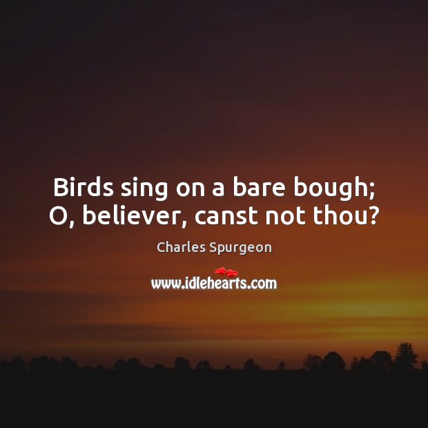 Birds sing on a bare bough; O, believer, canst not thou? Charles Spurgeon Picture Quote
