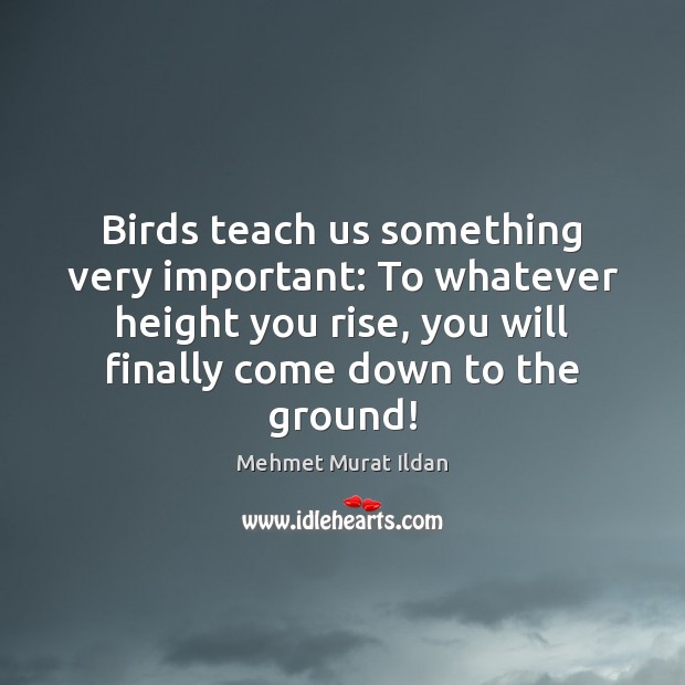 Birds teach us something very important: To whatever height you rise, you Mehmet Murat Ildan Picture Quote