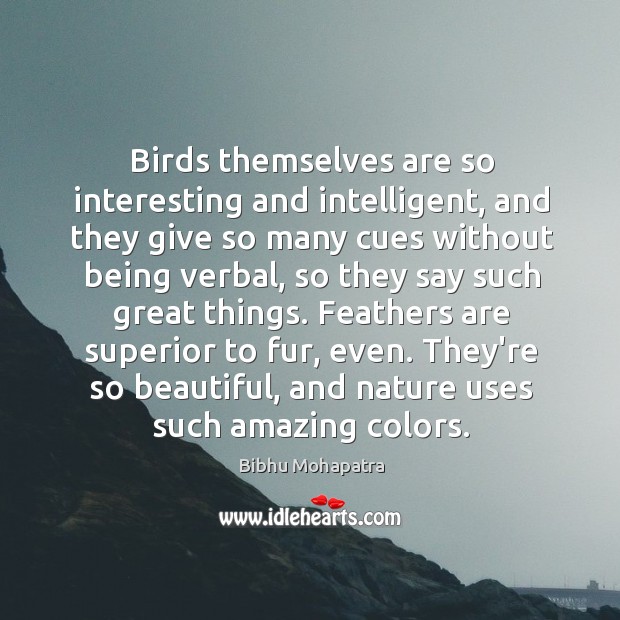 Birds themselves are so interesting and intelligent, and they give so many Bibhu Mohapatra Picture Quote
