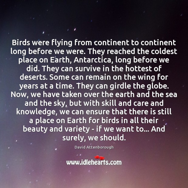 Birds were flying from continent to continent long before we were. They David Attenborough Picture Quote