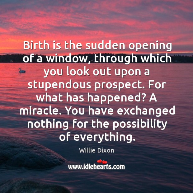 Birth is the sudden opening of a window, through which you look out upon a stupendous prospect. Willie Dixon Picture Quote
