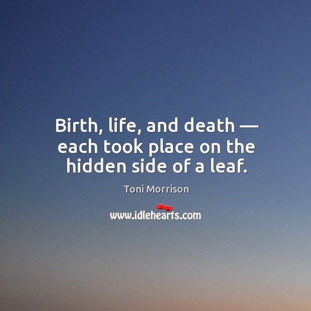 Birth, life, and death — each took place on the hidden side of a leaf. Hidden Quotes Image