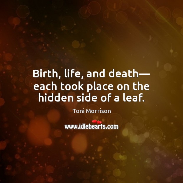 Birth, life, and death― each took place on the hidden side of a leaf. Toni Morrison Picture Quote