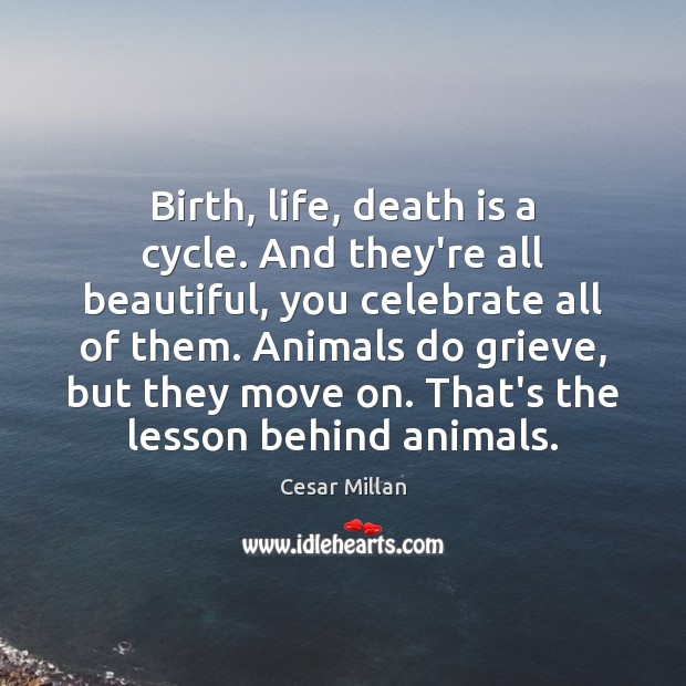 Birth, life, death is a cycle. And they’re all beautiful, you celebrate 