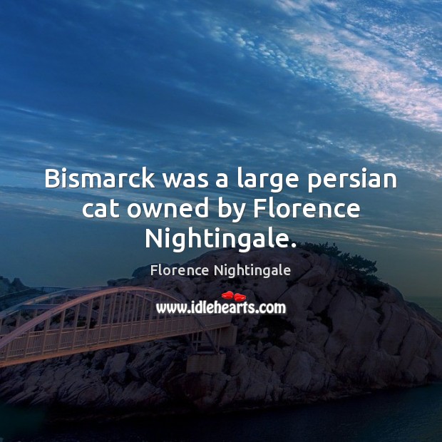 Bismarck was a large persian cat owned by Florence Nightingale. Florence Nightingale Picture Quote