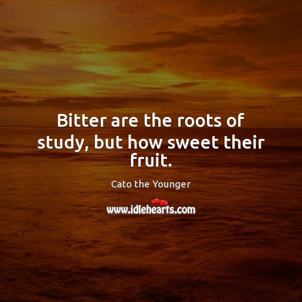 Bitter are the roots of study, but how sweet their fruit. Cato the Younger Picture Quote