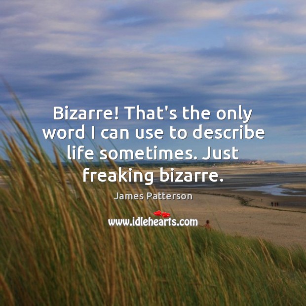 Bizarre! That’s the only word I can use to describe life sometimes. Just freaking bizarre. Image