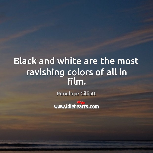 Black and white are the most ravishing colors of all in film. Penelope Gilliatt Picture Quote