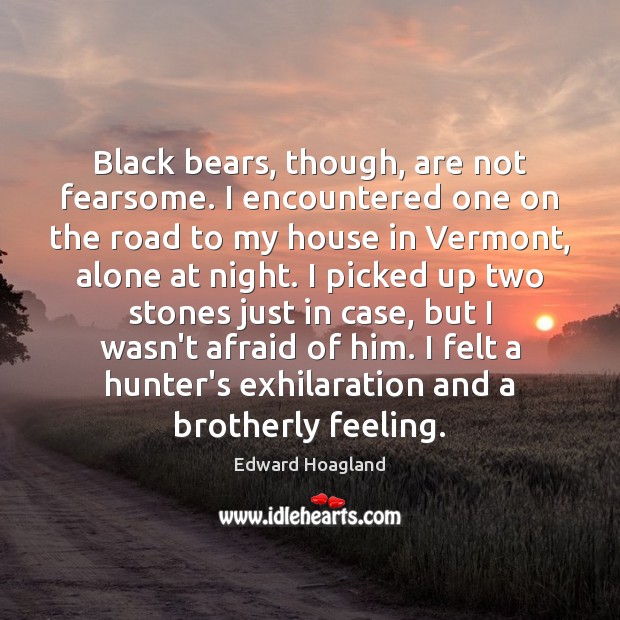 Black bears, though, are not fearsome. I encountered one on the road Edward Hoagland Picture Quote