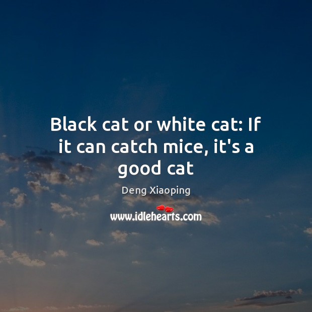 Black cat or white cat: If it can catch mice, it’s a good cat Deng Xiaoping Picture Quote