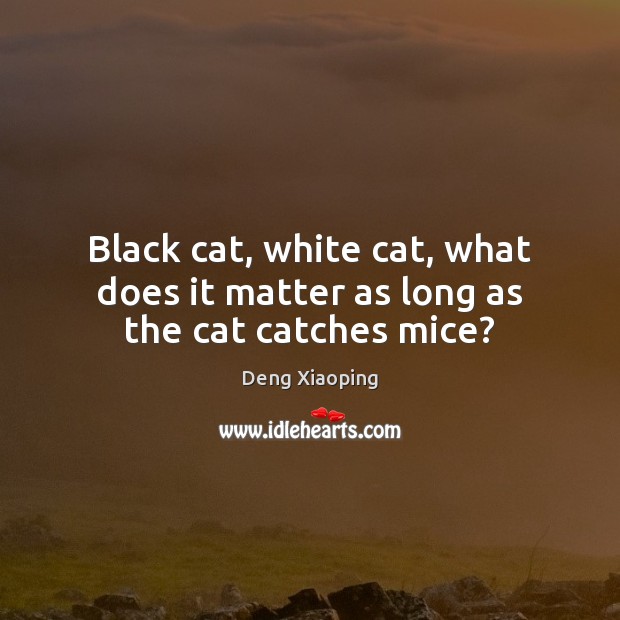Black cat, white cat, what does it matter as long as the cat catches mice? Deng Xiaoping Picture Quote