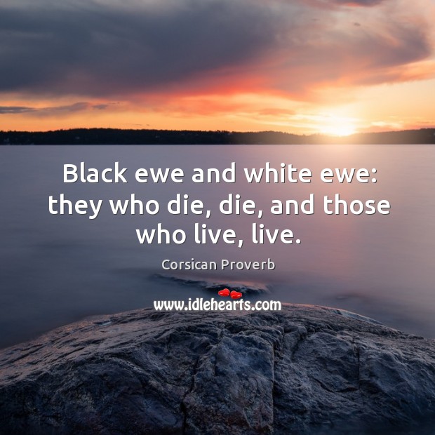Black ewe and white ewe: they who die, die, and those who live, live. Image