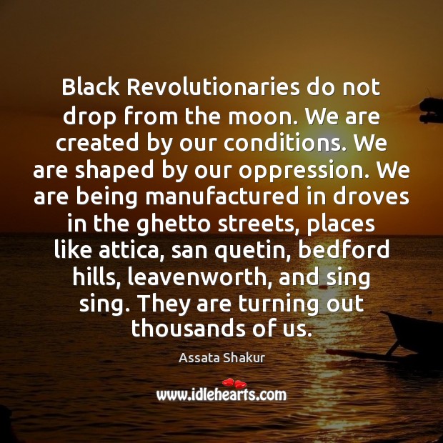 Black Revolutionaries do not drop from the moon. We are created by Assata Shakur Picture Quote