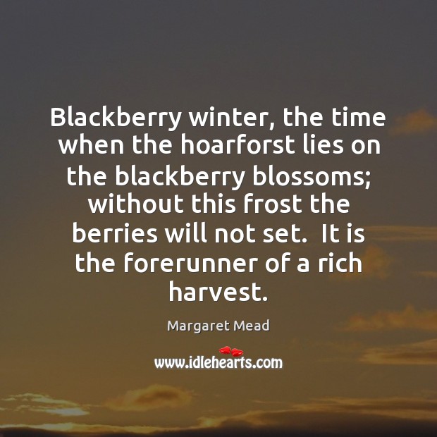 Blackberry winter, the time when the hoarforst lies on the blackberry blossoms; Margaret Mead Picture Quote