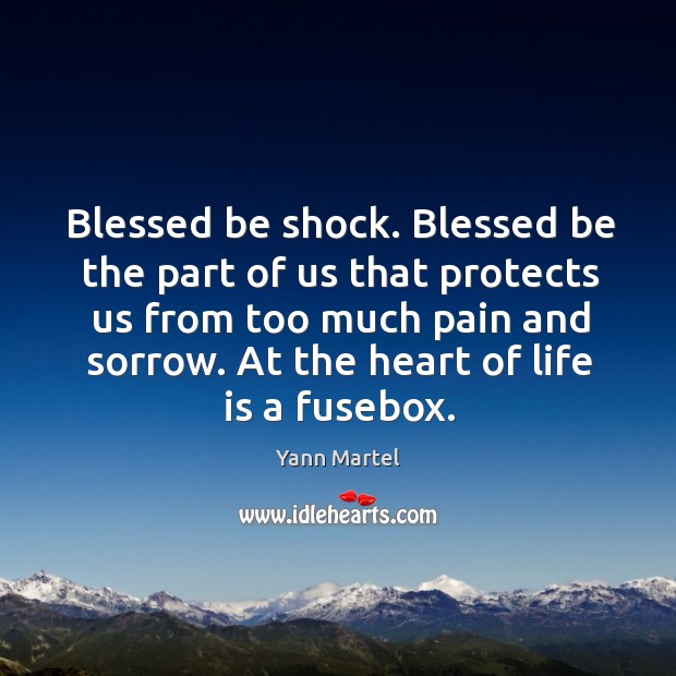 Blessed be shock. Blessed be the part of us that protects us Yann Martel Picture Quote