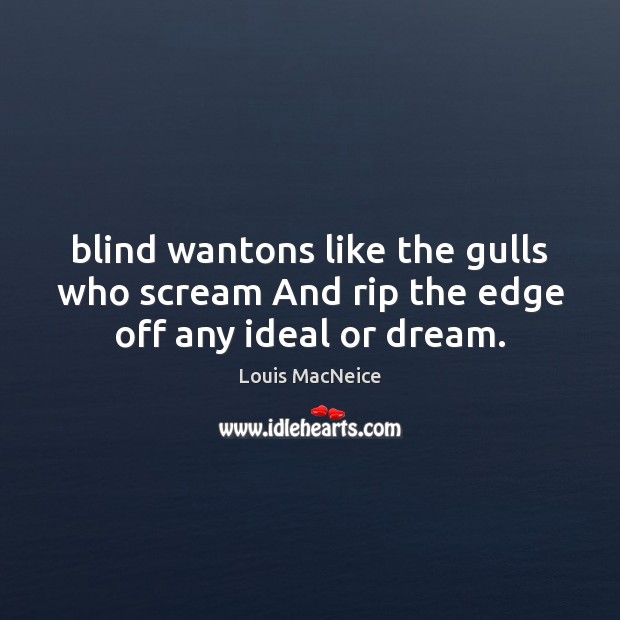 Blind wantons like the gulls who scream And rip the edge off any ideal or dream. Louis MacNeice Picture Quote