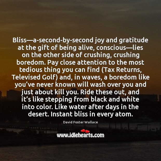 Bliss—a-second-by-second joy and gratitude at the gift of being alive, conscious— David Foster Wallace Picture Quote