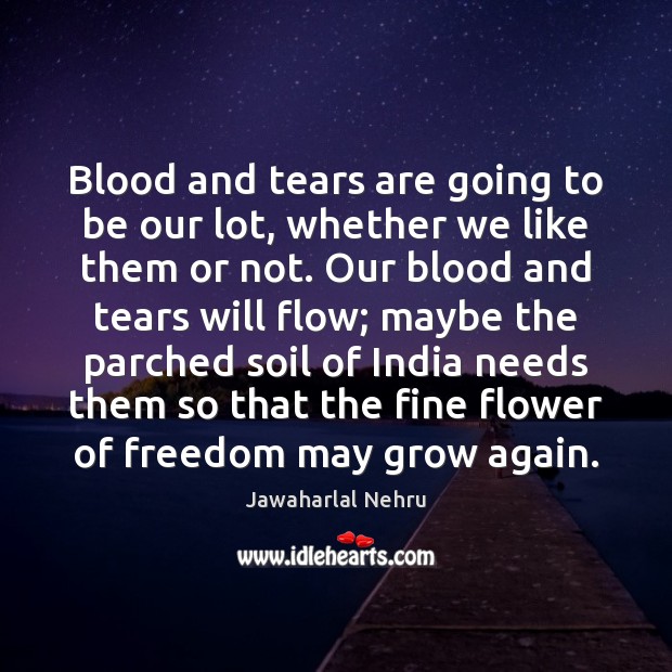 Blood and tears are going to be our lot, whether we like Jawaharlal Nehru Picture Quote