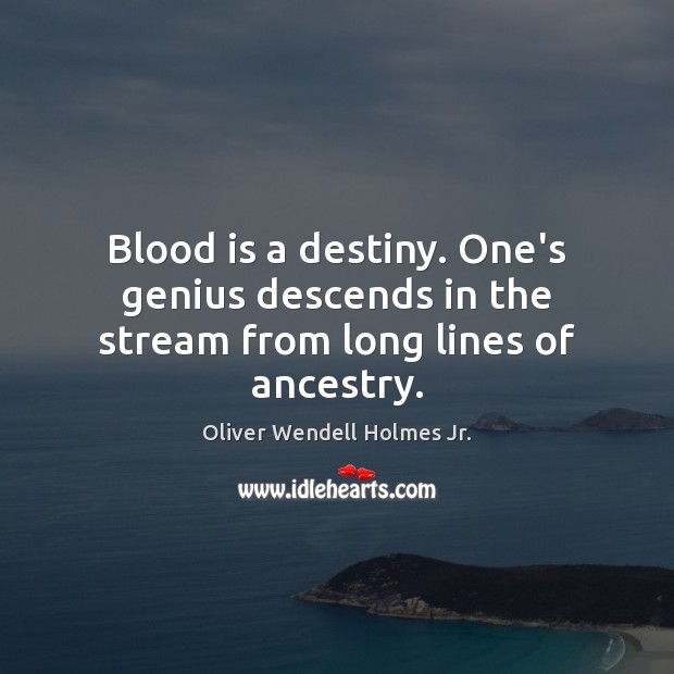 Blood is a destiny. One’s genius descends in the stream from long lines of ancestry. Oliver Wendell Holmes Jr. Picture Quote