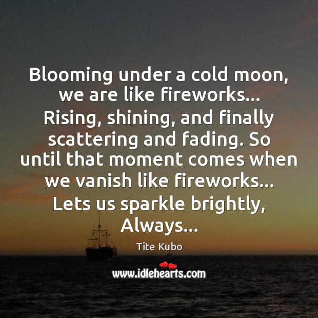 Blooming under a cold moon, we are like fireworks… Rising, shining, and Tite Kubo Picture Quote