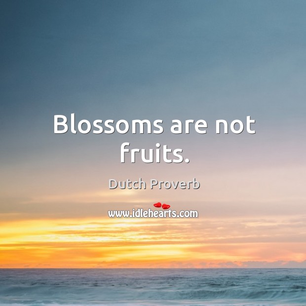 Blossoms are not fruits. Dutch Proverbs Image