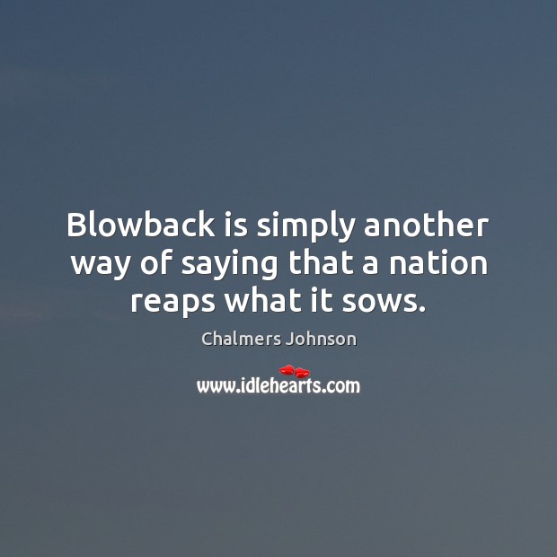 Blowback is simply another way of saying that a nation reaps what it sows. Chalmers Johnson Picture Quote