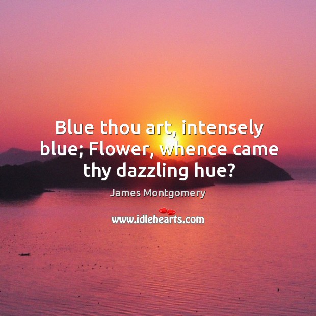 Blue thou art, intensely blue; flower, whence came thy dazzling hue? James Montgomery Picture Quote